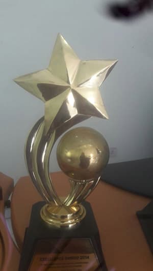 Daham Lanka receiving the Excellence Award 2015